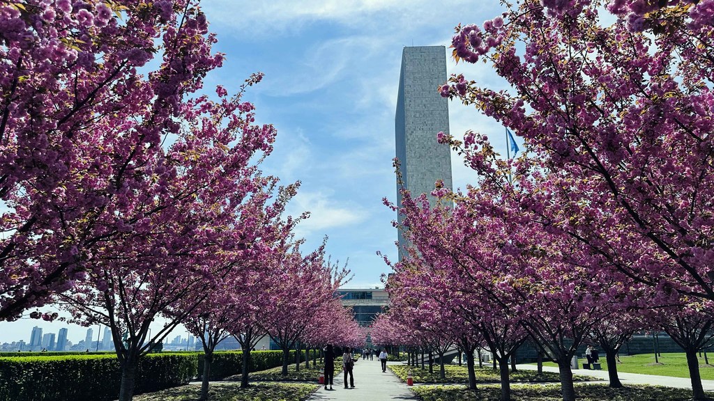 Здание Секретариата ООН в Нью-Йорке.